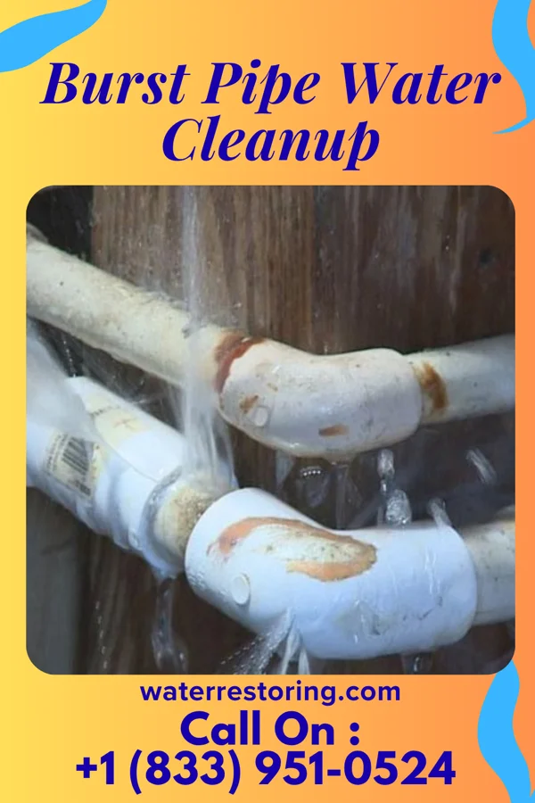 Burst Pipe Water Cleanup in Chupadero, NM